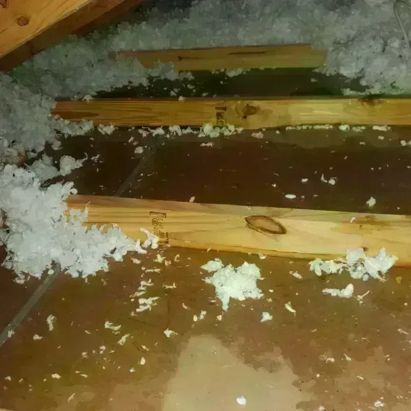 Attic Water Damage in Monrovia, CA