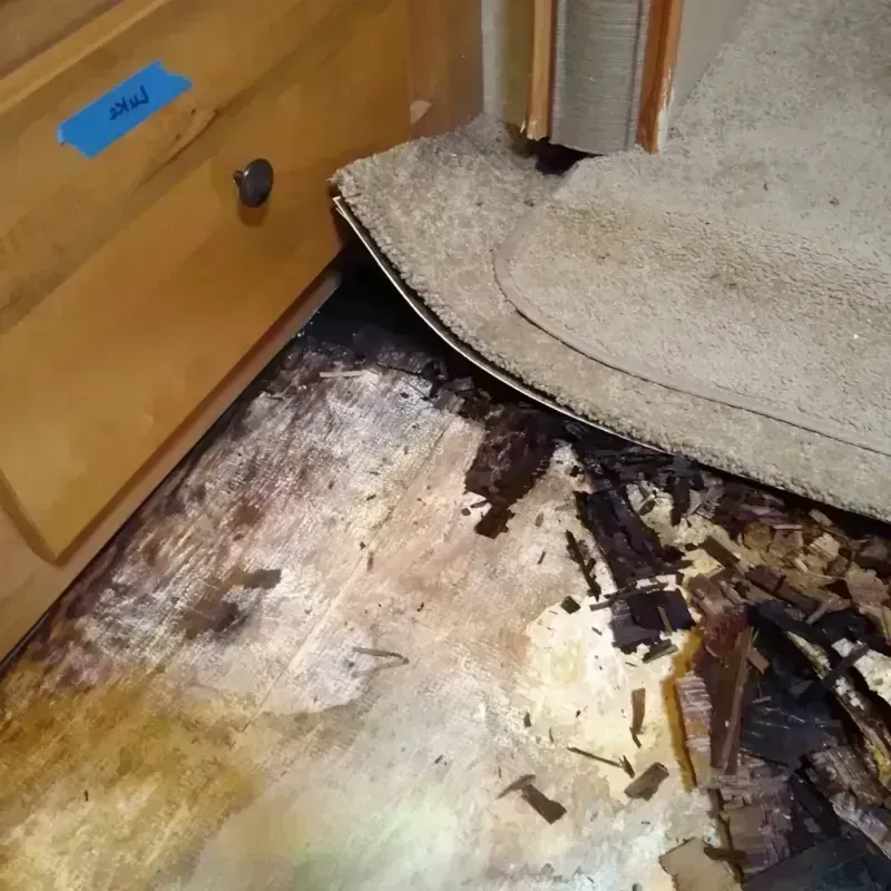 Wood Floor Water Damage in Monrovia, CA